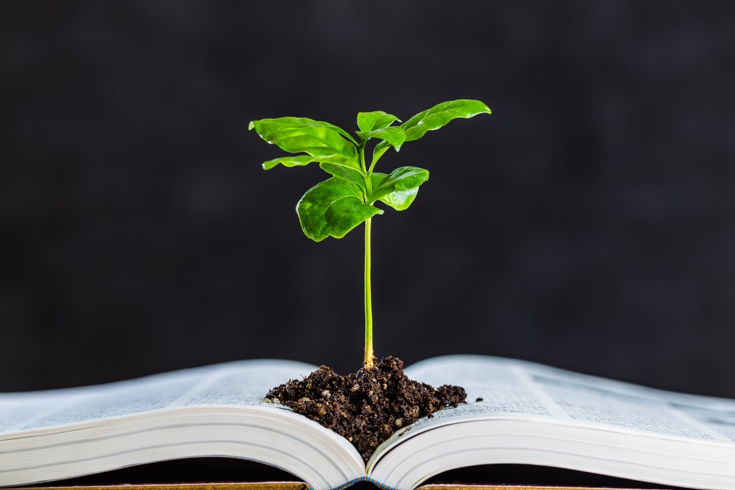 Registration now open for the annual UCC Law and the Environment Conference 2025