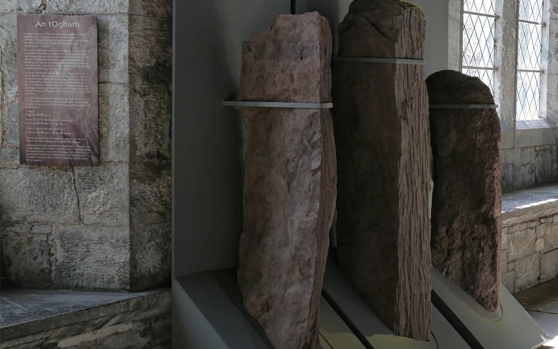 Ogham stones in the north wing corridor of UCC