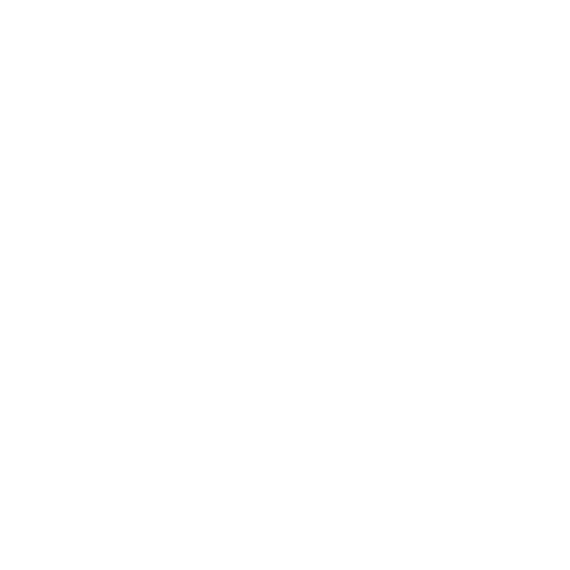 Strategy, Plans and Reports